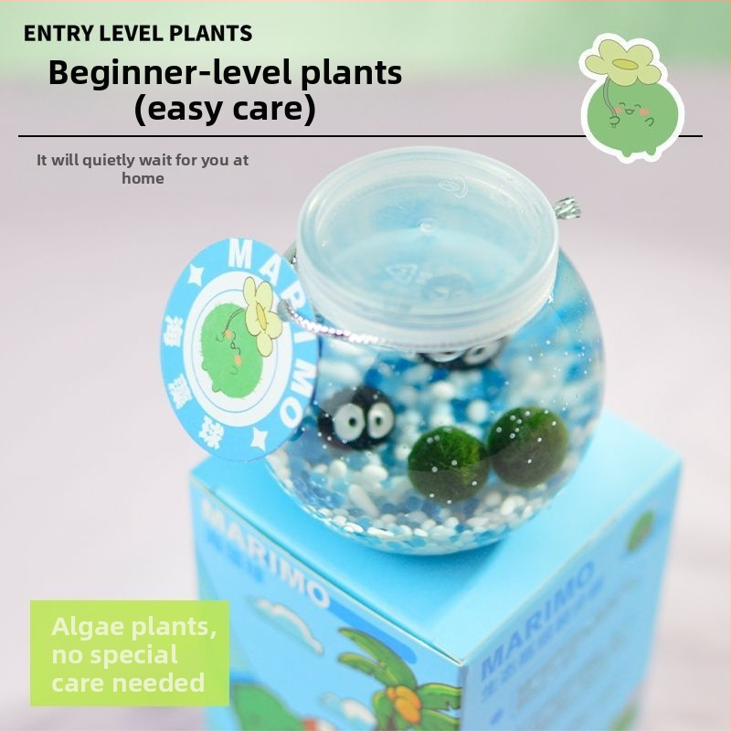 Galda hidropionikas komplekts ar Marimo bumbu ekoloģiskā pudelē — plastmasa, karikatūrai līdzīga forma, pielāgojams, iepakojums iekļauts