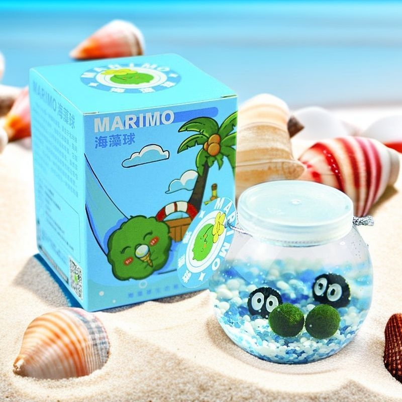 Galda hidropionikas komplekts ar Marimo bumbu ekoloģiskā pudelē — plastmasa, karikatūrai līdzīga forma, pielāgojams, iepakojums iekļauts