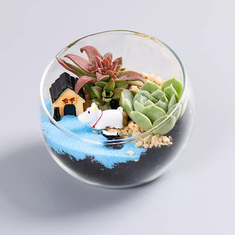 DIY комплект за мини ландшафт с мъх и сукуленти — стъклена топка от високо боросиликатно стъкло, марка Xuanyi, картонна опаковка, експозиционен монтаж, не е внесено