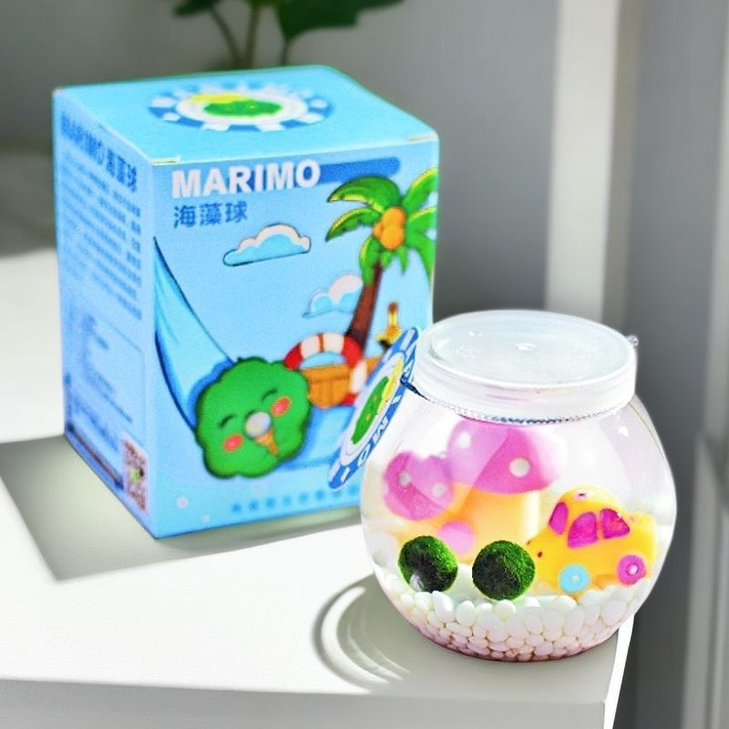 Marimo sūnas bumba – darbvirsmas ekosistēmas komplekts mikropeizažā stikla pudelē, hidroponisks augs; plastmasa materiāls; karikatūras forma; pielāgojams; dāvanu iepakojums iekļauts