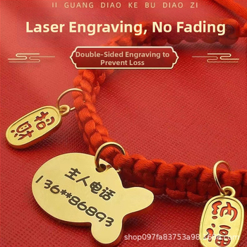 Gravirana ogrlica za kućne ljubimce s ID oznakom, nehrđajući čelik, univerzalna prilagodba, crtani stil