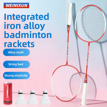 Wynison badminton reketa — izdržljiva za odrasle, trening set s letjelicom, okvir od željezne legure, najlonske strune, tip reketa bočni udar, pogodna za početnike i napredne
