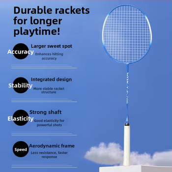 Wynison badminton reketa — izdržljiva za odrasle, trening set s letjelicom, okvir od željezne legure, najlonske strune, tip reketa bočni udar, pogodna za početnike i napredne
