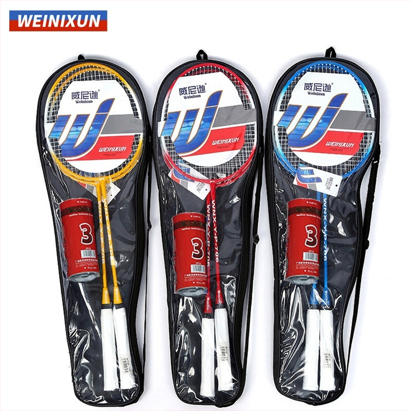 Wynison badminton reketa — izdržljiva za odrasle, trening set s letjelicom, okvir od željezne legure, najlonske strune, tip reketa bočni udar, pogodna za početnike i napredne