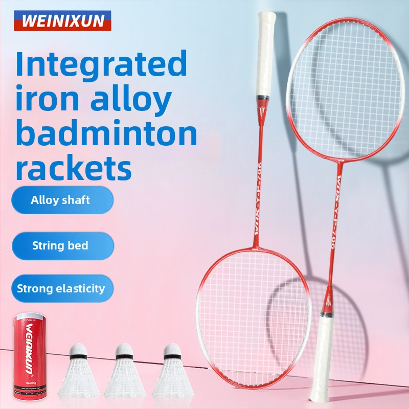 Wynison badminton reketa — izdržljiva za odrasle, trening set s letjelicom, okvir od željezne legure, najlonske strune, tip reketa bočni udar, pogodna za početnike i napredne