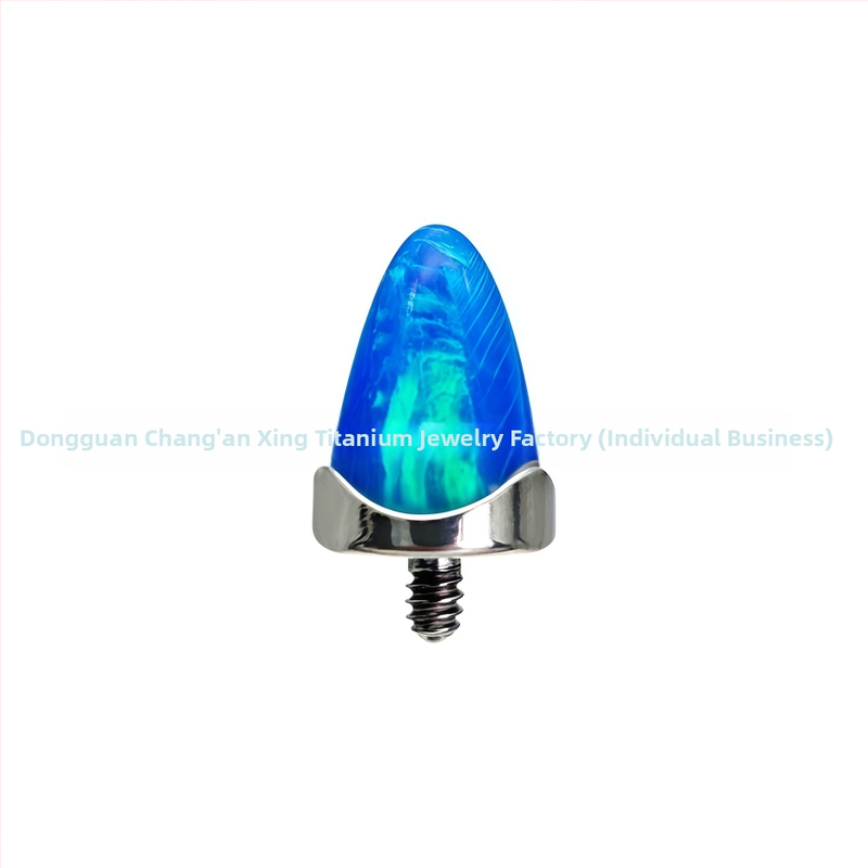 Auskari no G23 titāna (ASTM F136), pulēti, unisex dizains, Star titanium