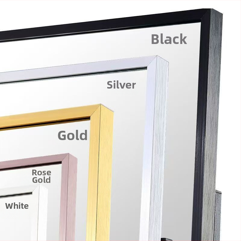 Pajudėjantis šokių veidrodis su ratukais, aliuminio lydinio rėmas, paprastas stilius, Yoga fitness mirror