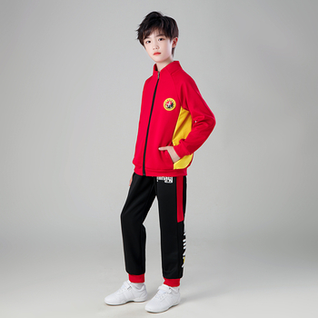 Dječja Sanda uniform za borilačke vještine, unisex, s printom, tkanina: južno-korejska svila; sastav: 95% poliester, 5% spandex; pogodna za trčanje, vožnju biciklom i trening borilačkih vještina