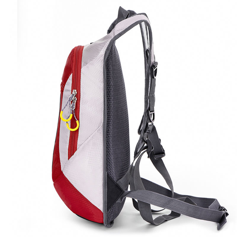 Раница за походи и колоездене на открито, полиестер, за мъже, ледено-снежни спортове