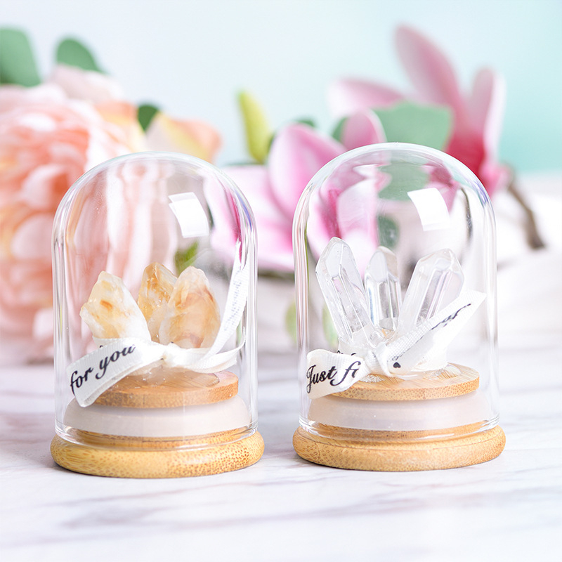 Кристално дърво с микро ландшафт под стъклен купол, модерен минималистичен стил, домашна декорация, образователен подарък за деца