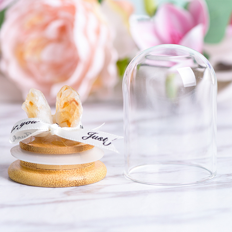 Кристално дърво с микро ландшафт под стъклен купол, модерен минималистичен стил, домашна декорация, образователен подарък за деца