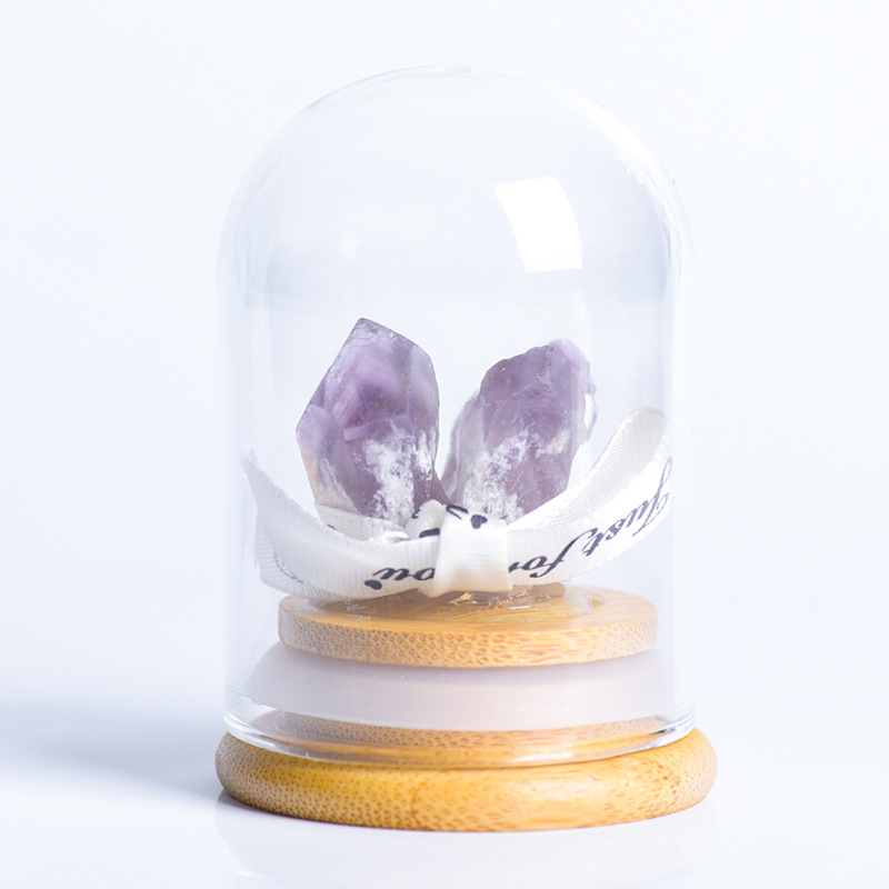 Кристално дърво с микро ландшафт под стъклен купол, модерен минималистичен стил, домашна декорация, образователен подарък за деца