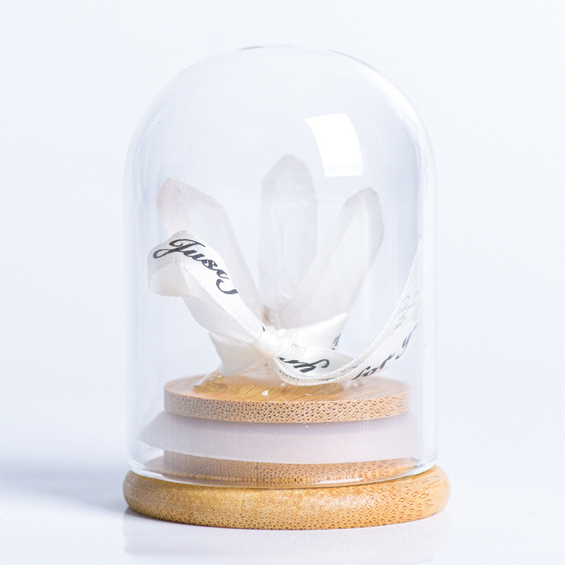 Кристално дърво с микро ландшафт под стъклен купол, модерен минималистичен стил, домашна декорация, образователен подарък за деца