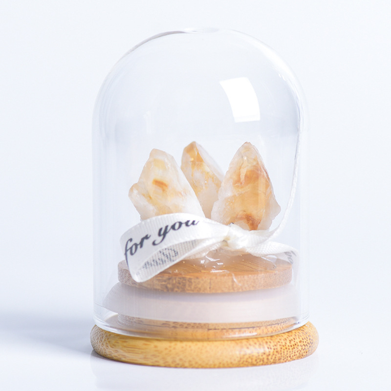 Кристално дърво с микро ландшафт под стъклен купол, модерен минималистичен стил, домашна декорация, образователен подарък за деца