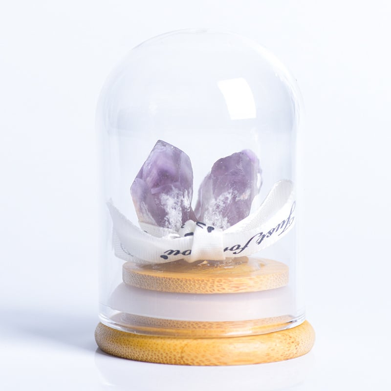 Кристално дърво с микро ландшафт под стъклен купол, модерен минималистичен стил, домашна декорация, образователен подарък за деца