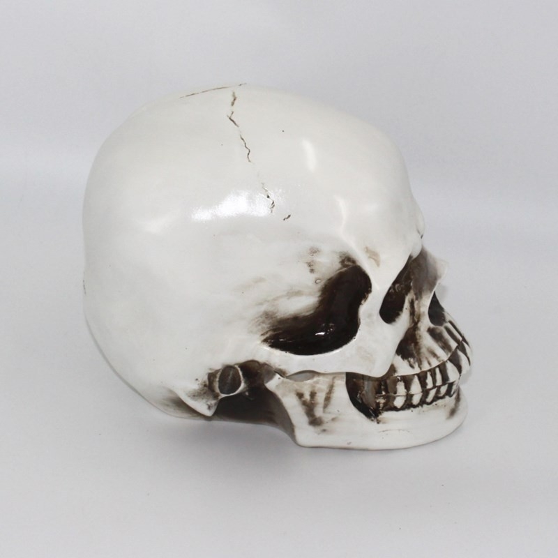 Model lubanje od smole za dekoraciju, strašna Halloween dekoracija, moderni minimalistički stil, pogodno za Escape Room i ukletu kuću