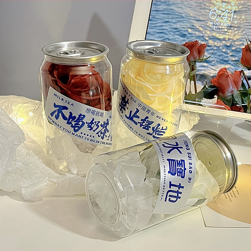 Datora galda dekors – Plastmasa, mūsdienīgs vienkāršs stils, Dāvana gatava, saldēta roze caurspīdīgā burciņā