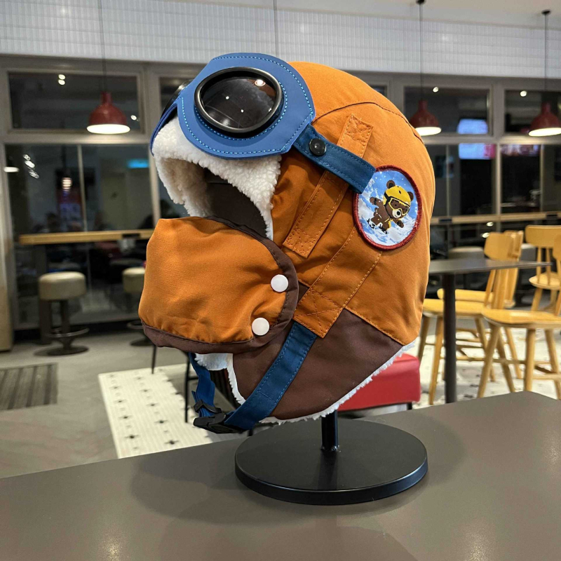 Căciulă Lei Feng pentru copii, design urs, cu protecție împotriva vântului pentru urechi, căptușită cu fleece, formă domă