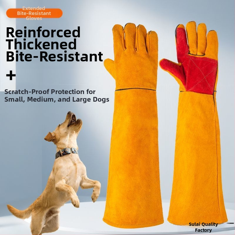 Suņu apmācības cimdi — biezināta āda, izturīgi pret plēšanu; Produkta kategorija: Cits; Materiāls: Cits; Stils: Mūsdienīgs vienkāršums; Izlaidums: 2023