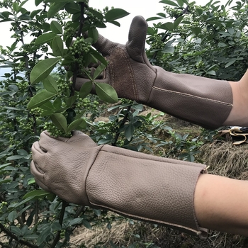 Kožne rukavice protiv uboda za vrtlarstvo i rezanje; Materijal: goveda koža; Značka: Other; Namjena: Vrtlarenje