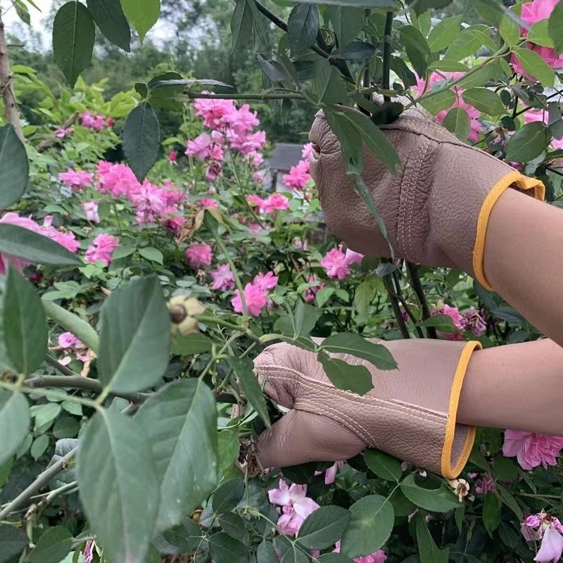 Kožne rukavice protiv uboda za vrtlarstvo i rezanje; Materijal: goveda koža; Značka: Other; Namjena: Vrtlarenje