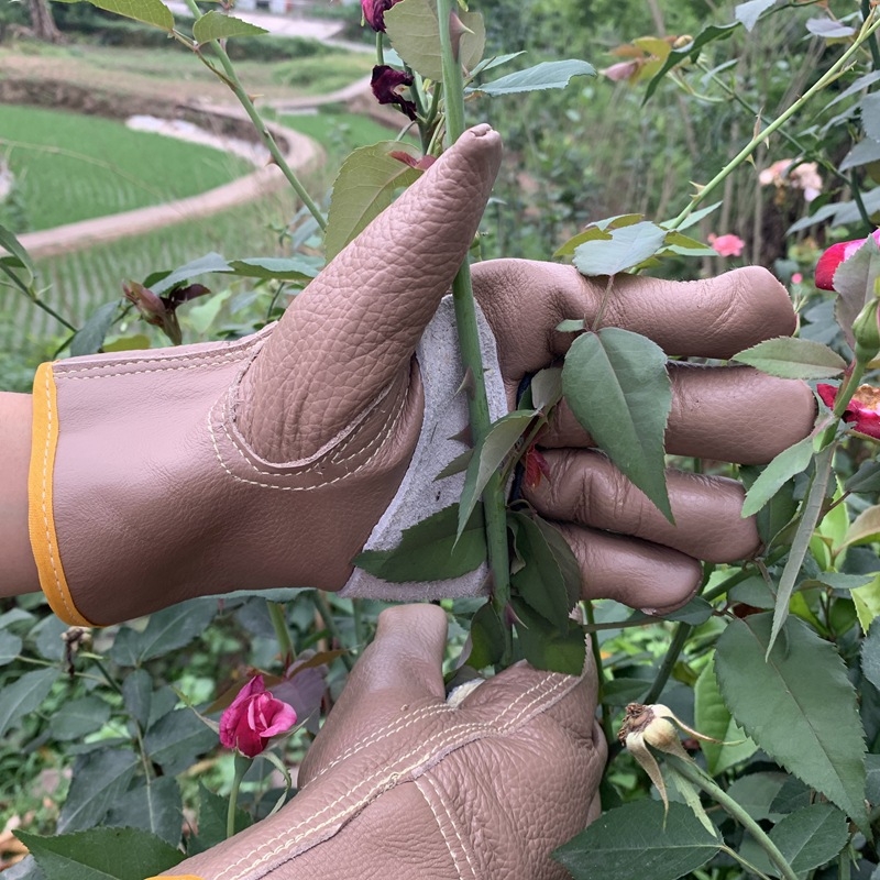 Kožne rukavice protiv uboda za vrtlarstvo i rezanje; Materijal: goveda koža; Značka: Other; Namjena: Vrtlarenje