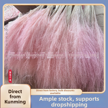 Žāvētu ziedu pušķis, Pink dai šķirne, Chen chen qianli ziedi (Zīmols: Chen chen qianli ziedi; Materiāls: Žāvēti ziedi; Veids: Pink dai; Dāvana: Nē)