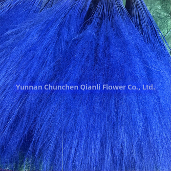 Žāvētu ziedu pušķis, Pink dai šķirne, Chen chen qianli ziedi (Zīmols: Chen chen qianli ziedi; Materiāls: Žāvēti ziedi; Veids: Pink dai; Dāvana: Nē)