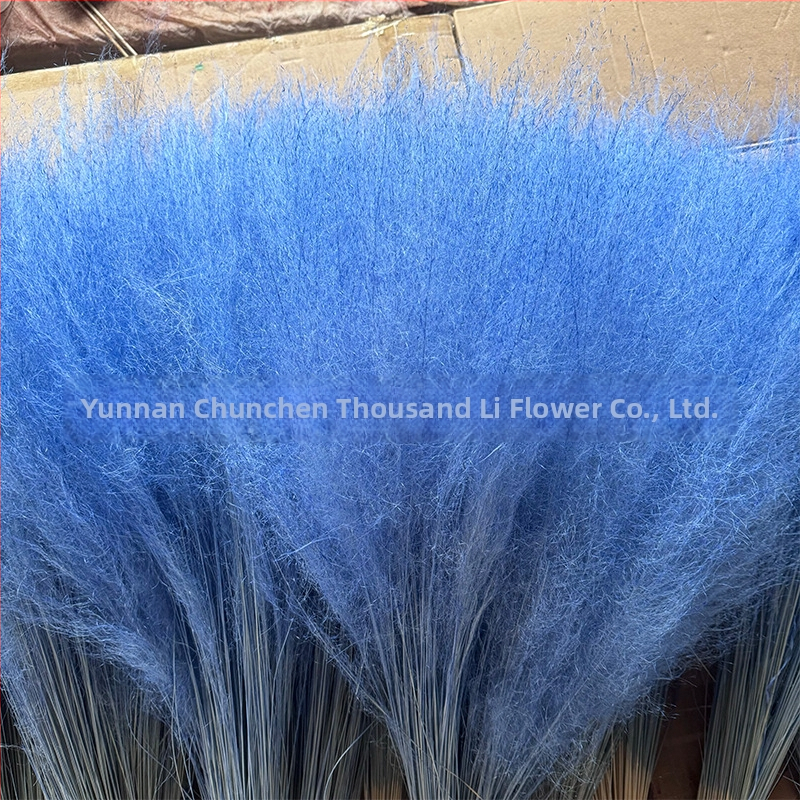 Žāvētu ziedu pušķis, Pink dai šķirne, Chen chen qianli ziedi (Zīmols: Chen chen qianli ziedi; Materiāls: Žāvēti ziedi; Veids: Pink dai; Dāvana: Nē)