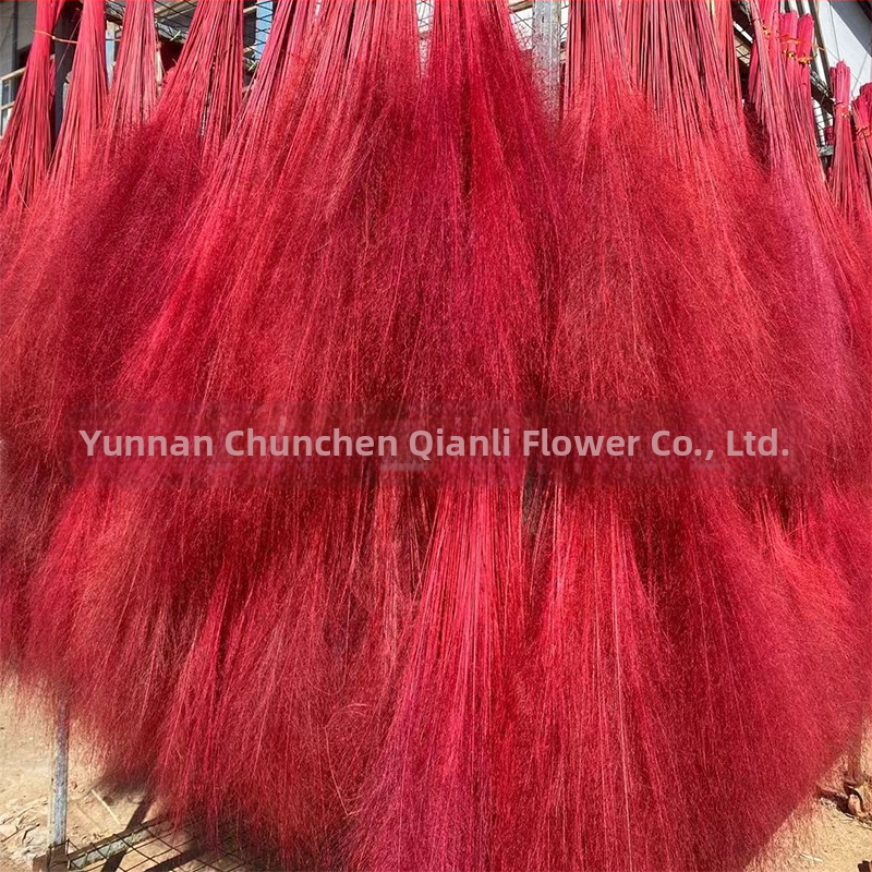 Žāvētu ziedu pušķis, Pink dai šķirne, Chen chen qianli ziedi (Zīmols: Chen chen qianli ziedi; Materiāls: Žāvēti ziedi; Veids: Pink dai; Dāvana: Nē)