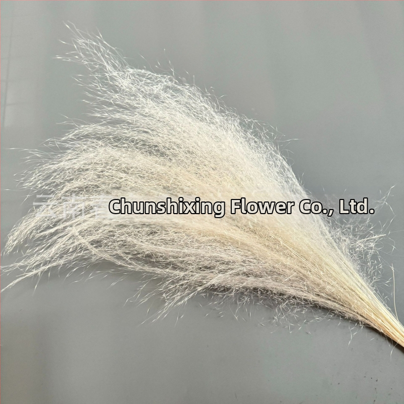 Žāvētu ziedu pušķis, Pink dai šķirne, Chen chen qianli ziedi (Zīmols: Chen chen qianli ziedi; Materiāls: Žāvēti ziedi; Veids: Pink dai; Dāvana: Nē)