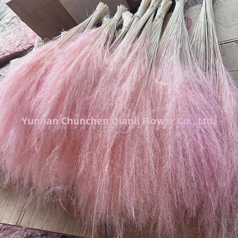 Žāvētu ziedu pušķis, Pink dai šķirne, Chen chen qianli ziedi (Zīmols: Chen chen qianli ziedi; Materiāls: Žāvēti ziedi; Veids: Pink dai; Dāvana: Nē)