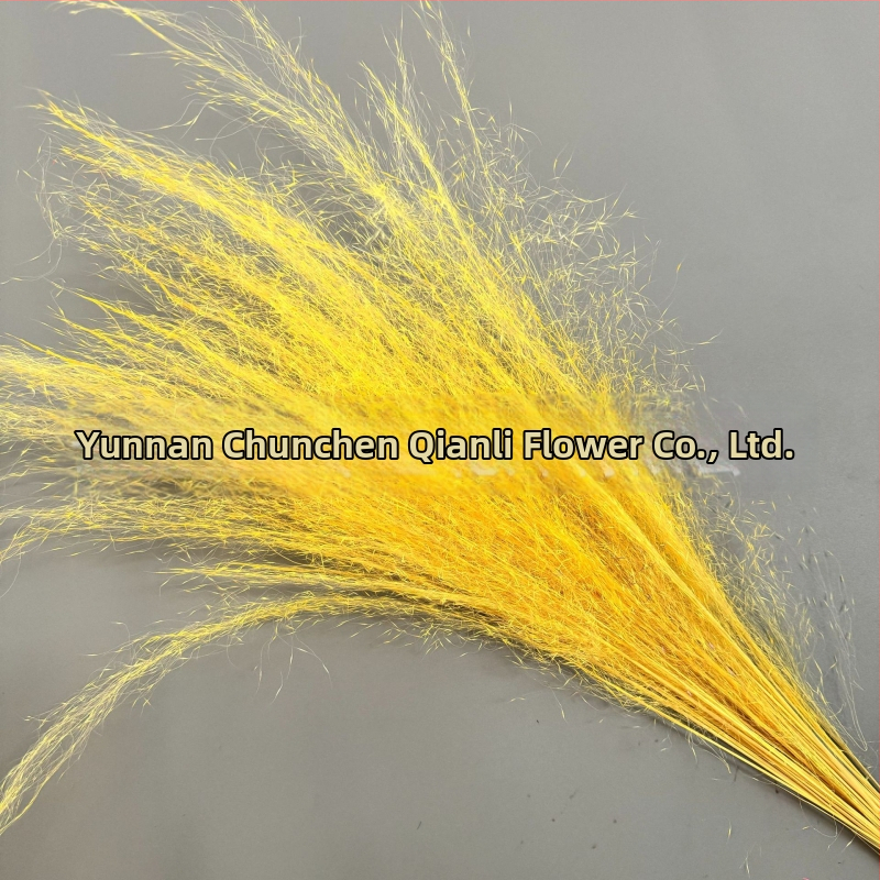 Žāvētu ziedu pušķis, Pink dai šķirne, Chen chen qianli ziedi (Zīmols: Chen chen qianli ziedi; Materiāls: Žāvēti ziedi; Veids: Pink dai; Dāvana: Nē)