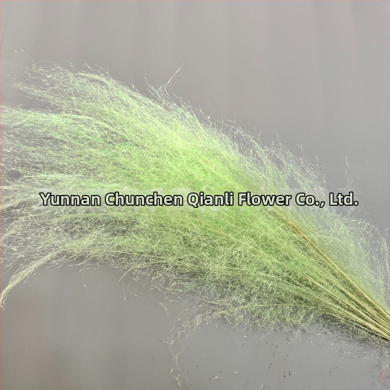 Žāvētu ziedu pušķis, Pink dai šķirne, Chen chen qianli ziedi (Zīmols: Chen chen qianli ziedi; Materiāls: Žāvēti ziedi; Veids: Pink dai; Dāvana: Nē)