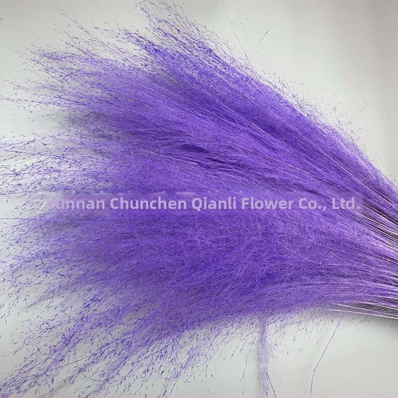 Žāvētu ziedu pušķis, Pink dai šķirne, Chen chen qianli ziedi (Zīmols: Chen chen qianli ziedi; Materiāls: Žāvēti ziedi; Veids: Pink dai; Dāvana: Nē)