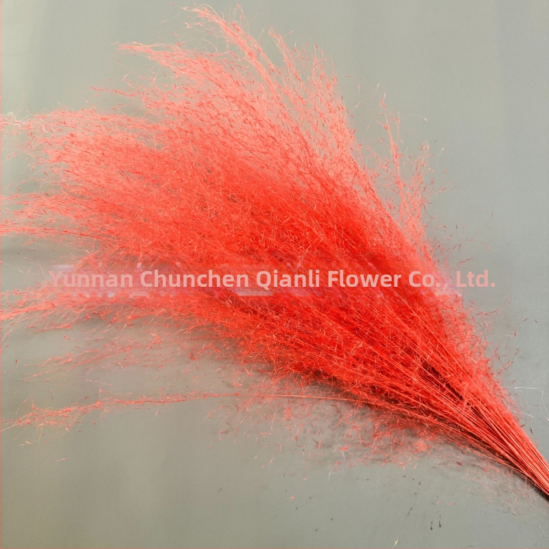 Žāvētu ziedu pušķis, Pink dai šķirne, Chen chen qianli ziedi (Zīmols: Chen chen qianli ziedi; Materiāls: Žāvēti ziedi; Veids: Pink dai; Dāvana: Nē)