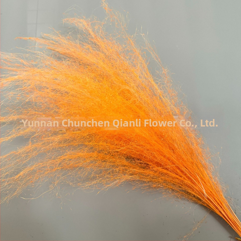 Žāvētu ziedu pušķis, Pink dai šķirne, Chen chen qianli ziedi (Zīmols: Chen chen qianli ziedi; Materiāls: Žāvēti ziedi; Veids: Pink dai; Dāvana: Nē)