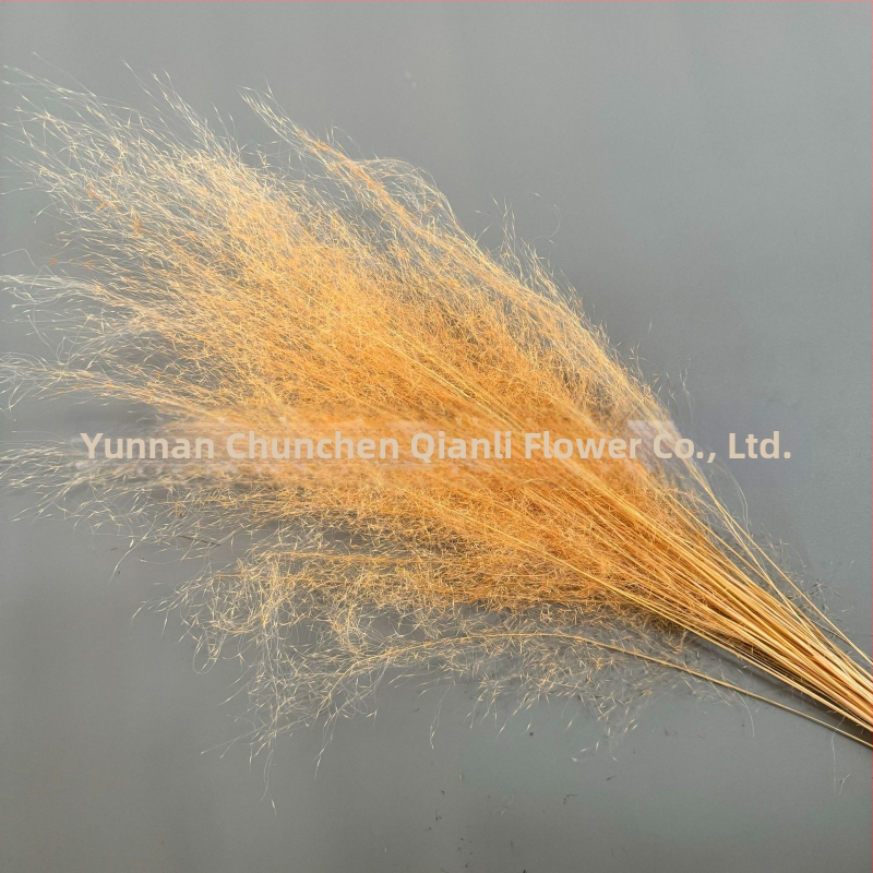 Žāvētu ziedu pušķis, Pink dai šķirne, Chen chen qianli ziedi (Zīmols: Chen chen qianli ziedi; Materiāls: Žāvēti ziedi; Veids: Pink dai; Dāvana: Nē)