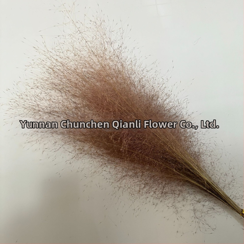 Žāvētu ziedu pušķis, Pink dai šķirne, Chen chen qianli ziedi (Zīmols: Chen chen qianli ziedi; Materiāls: Žāvēti ziedi; Veids: Pink dai; Dāvana: Nē)