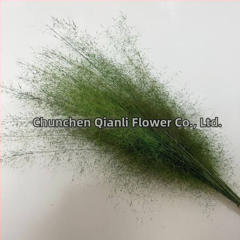 Žāvētu ziedu pušķis, Pink dai šķirne, Chen chen qianli ziedi (Zīmols: Chen chen qianli ziedi; Materiāls: Žāvēti ziedi; Veids: Pink dai; Dāvana: Nē)