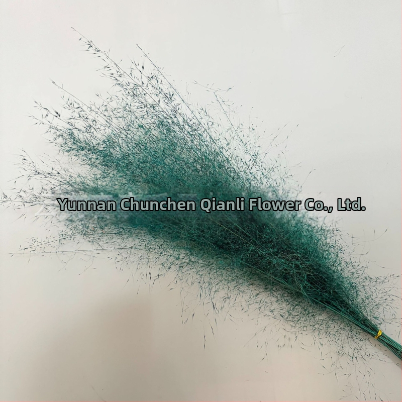 Žāvētu ziedu pušķis, Pink dai šķirne, Chen chen qianli ziedi (Zīmols: Chen chen qianli ziedi; Materiāls: Žāvēti ziedi; Veids: Pink dai; Dāvana: Nē)