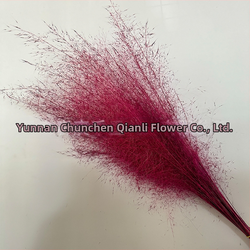 Žāvētu ziedu pušķis, Pink dai šķirne, Chen chen qianli ziedi (Zīmols: Chen chen qianli ziedi; Materiāls: Žāvēti ziedi; Veids: Pink dai; Dāvana: Nē)