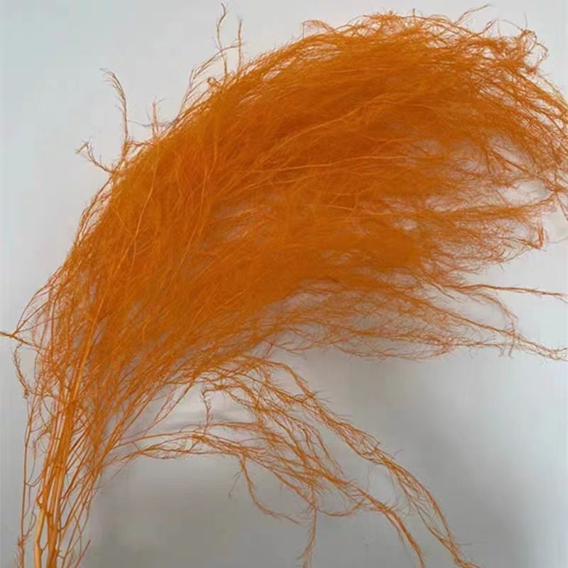 Dragon Beard Grass Eternal Flowers - Žāvēti un saglabāti ziedi, Amats: Cits, Zīmols: Flowers are sweet, Importēts: Nē