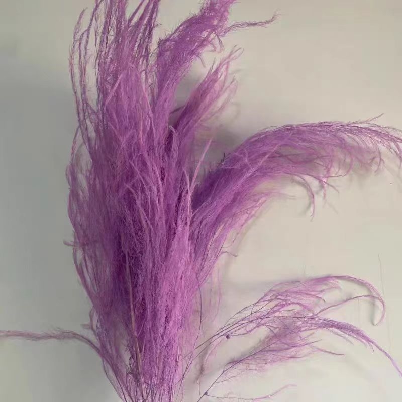 Dragon Beard Grass Eternal Flowers - Žāvēti un saglabāti ziedi, Amats: Cits, Zīmols: Flowers are sweet, Importēts: Nē