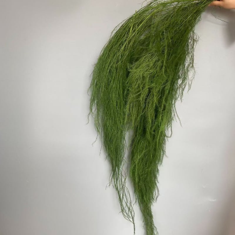 Dragon Beard Grass Eternal Flowers - Žāvēti un saglabāti ziedi, Amats: Cits, Zīmols: Flowers are sweet, Importēts: Nē