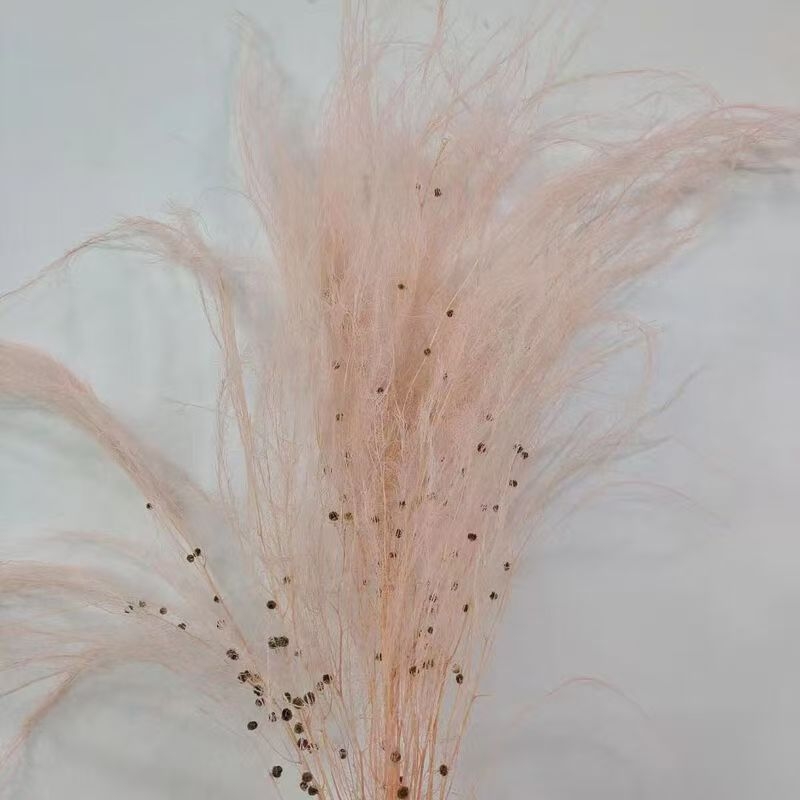 Dragon Beard Grass Eternal Flowers - Žāvēti un saglabāti ziedi, Amats: Cits, Zīmols: Flowers are sweet, Importēts: Nē