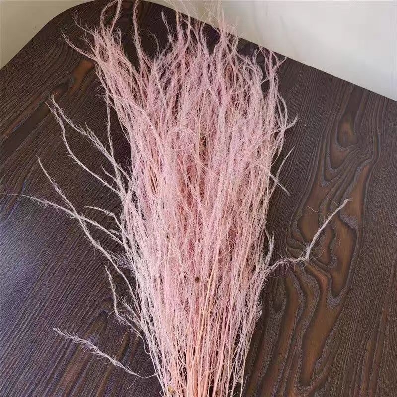 Dragon Beard Grass Eternal Flowers - Žāvēti un saglabāti ziedi, Amats: Cits, Zīmols: Flowers are sweet, Importēts: Nē