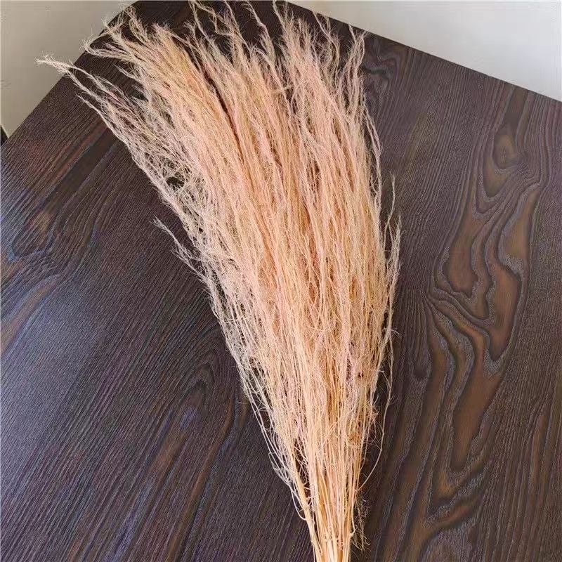 Dragon Beard Grass Eternal Flowers - Žāvēti un saglabāti ziedi, Amats: Cits, Zīmols: Flowers are sweet, Importēts: Nē