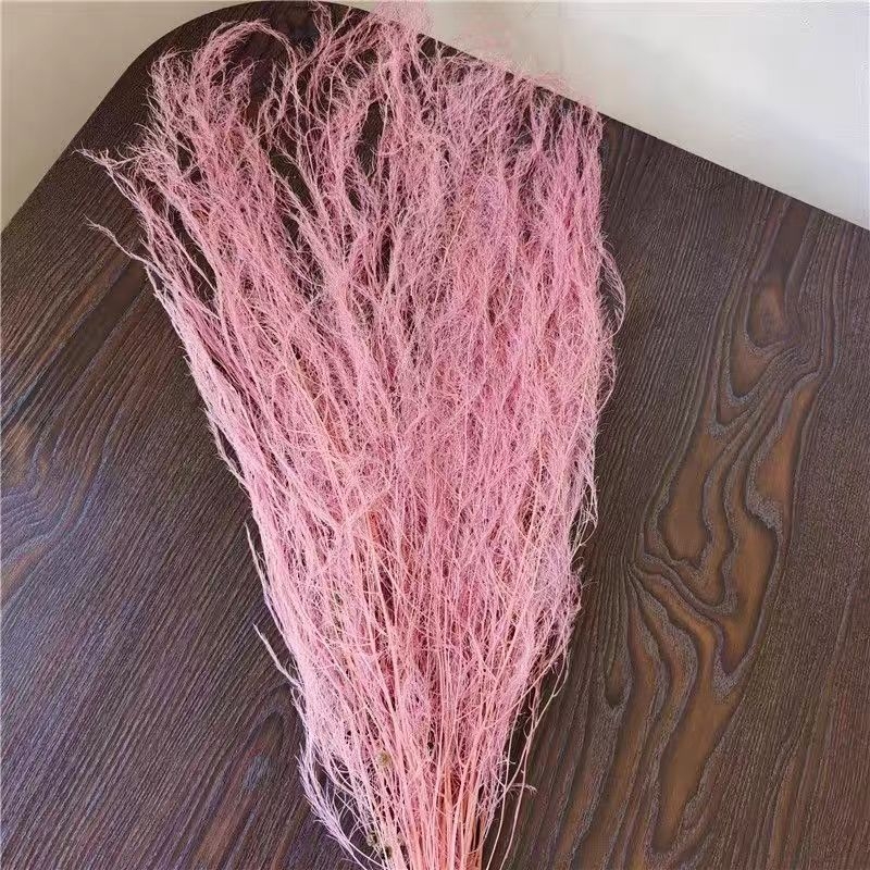 Dragon Beard Grass Eternal Flowers - Žāvēti un saglabāti ziedi, Amats: Cits, Zīmols: Flowers are sweet, Importēts: Nē