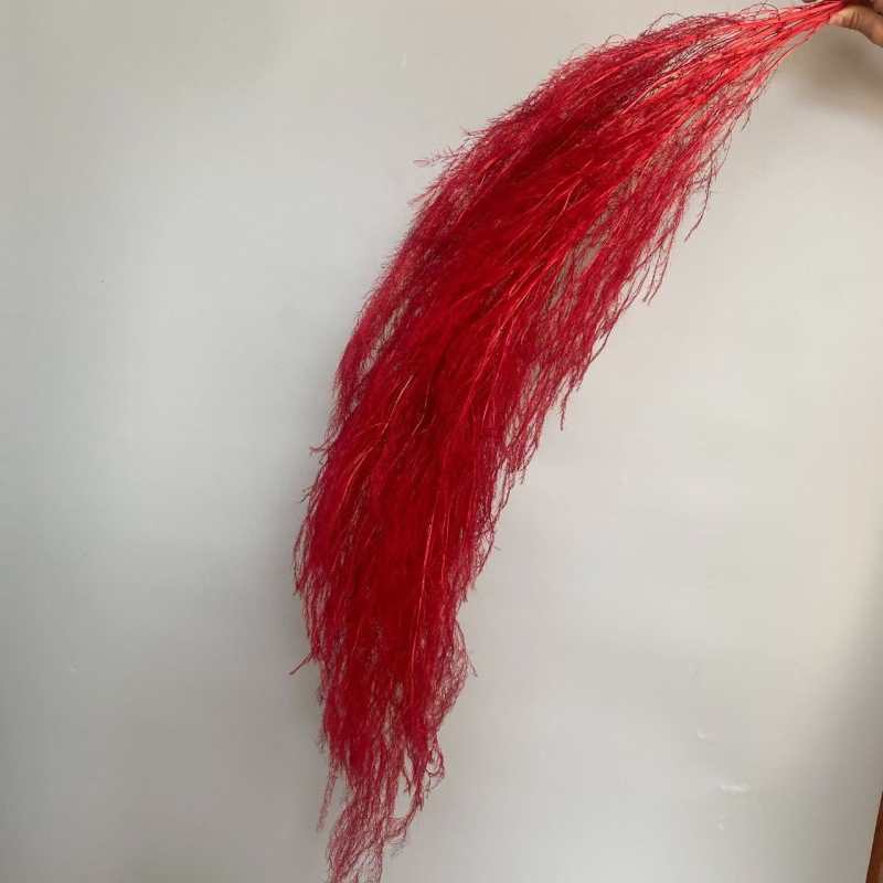 Dragon Beard Grass Eternal Flowers - Žāvēti un saglabāti ziedi, Amats: Cits, Zīmols: Flowers are sweet, Importēts: Nē